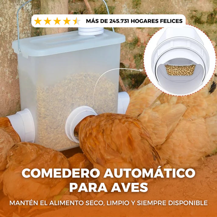 SET X 4 COMEDEROS AUTOMÁTICOS - ANTIDESPERDICIO PARA AVES DE CORRAL