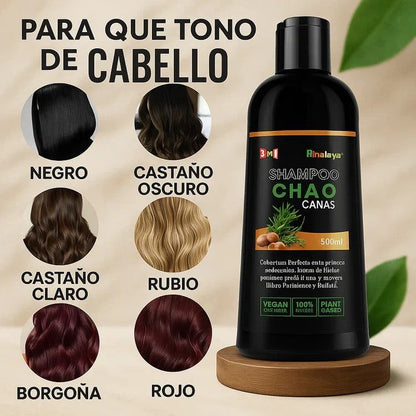 SHAMPOO NO MAS CANAS - RECUPERA TU COLOR Y JUVENTUD ✨