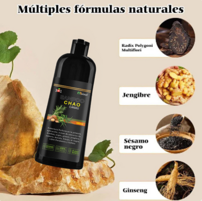 SHAMPOO NO MAS CANAS - RECUPERA TU COLOR Y JUVENTUD ✨